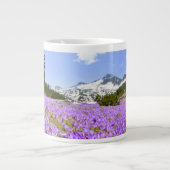 Bloemen | Crocus Pirin Mountain Park Bulgarije Grote Koffiekop (Voorkant)