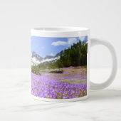 Bloemen | Crocus Pirin Mountain Park Bulgarije Grote Koffiekop (Rechts)