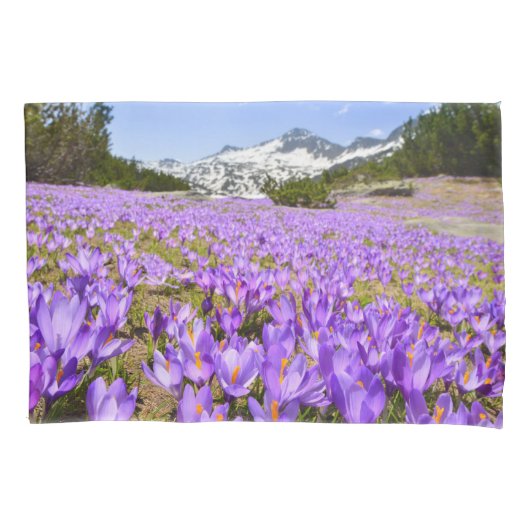 Bloemen | Crocus Pirin Mountain Park Bulgarije Kussensloop (Voorkant)