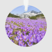Bloemen | Crocus Pirin Mountain Park Bulgarije Ornament (achterkant)