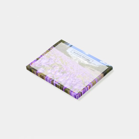Bloemen | Crocus Pirin Mountain Park Bulgarije Post-it® Notes (Schuin)