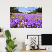 Bloemen | Crocus Pirin Mountain Park Bulgarije Poster (Thuiskantoor)