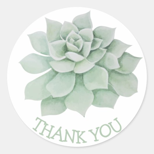 Bloemen Dank u Groene Succulente Cactus Ronde Sticker (Voorkant)
