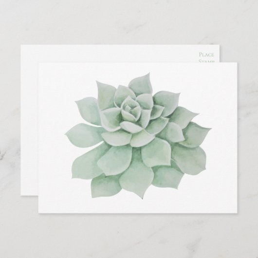 Bloemen Dank u Mint Groene Sappige Cactus Briefkaart (Voorkant / Achterkant)