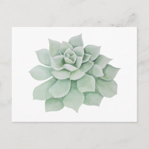 Bloemen Dank u Mint Groene Sappige Cactus Briefkaart