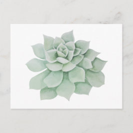 Bloemen Dank u Mint Groene Sappige Cactus Briefkaart