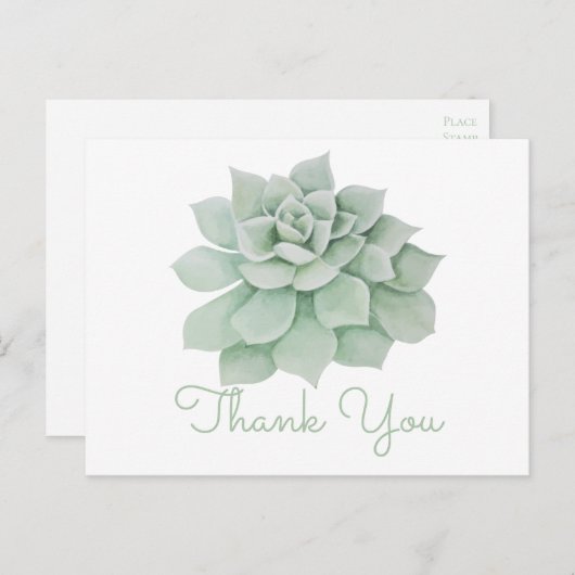 Bloemen Dank u Mint Groene Sappige Cactus Briefkaart (Voorkant / Achterkant)
