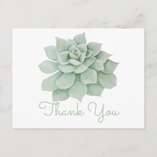 Bloemen Dank u Mint Groene Sappige Cactus Briefkaart