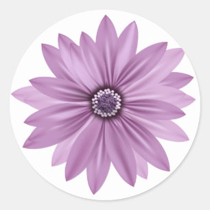 Bloemen dank u Paarse Daisy Flower - Lavendel Ronde Sticker