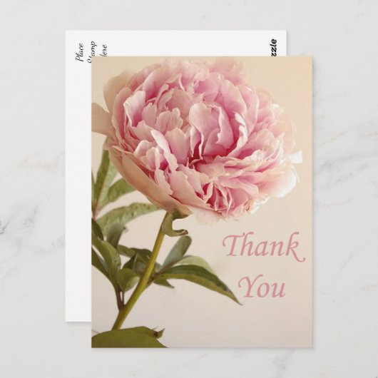 Bloemen Dank u roze pioenroos bloem Briefkaart (Voorkant / Achterkant)