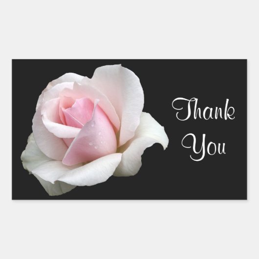 Bloemen Dank u Roze Roze Bloem Zwart Rozen Rechthoekige Sticker (Voorkant)