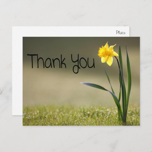  Bloemen Dank u Yellow Daffodil Flower Briefkaart (Voorkant / Achterkant)