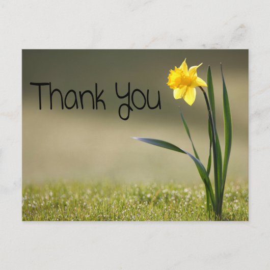  Bloemen Dank u Yellow Daffodil Flower Briefkaart (Voorkant)