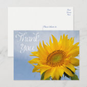 Bloemen Dank u Zonnebloem Geel Bloem Blauwe Hemel Briefkaart (Voorkant / Achterkant)