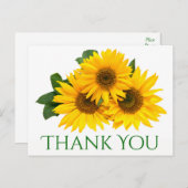 Bloemen Dank u Zonnebloem Geel & Groene Bloemen Briefkaart (Voorkant / Achterkant)