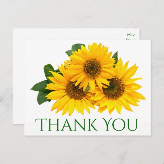 Bloemen Dank u Zonnebloem Geel & Groene Bloemen Briefkaart (Voorkant / Achterkant)