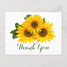 Bloemen Dank u Zonnebloemen Geel & Groene Bloemen Briefkaart