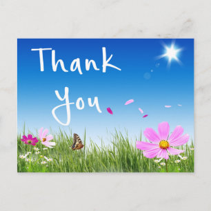 Bloemen Dankjewel Daisy Butterfly Wildflowers Briefkaart