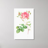Bloemen Delight: Roze Rose Canvas Kunst (Voorkant)