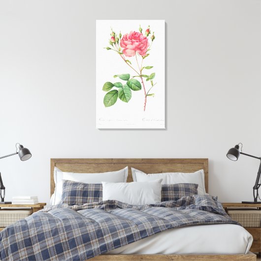 Bloemen Delight: Roze Rose Canvas Kunst (Insitu (Slaapkamer))