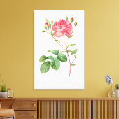 Bloemen Delight: Roze Rose Canvas Kunst (Insitu (Woonkamer))