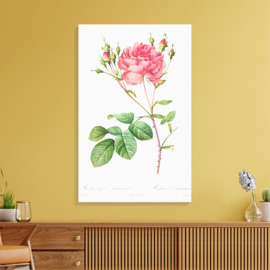 Bloemen Delight: Roze Rose Canvas Kunst (Insitu (Woonkamer))