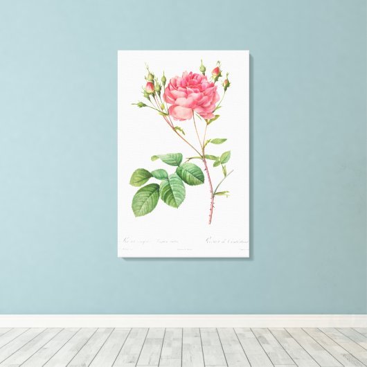 Bloemen Delight: Roze Rose Canvas Kunst (Insitu (Houten vloer))