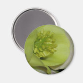 Bloemen detail magneet (Voorkant / Achterkant)