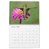 Bloemen die de Kalender van Hummingvogels aantrekk (Jan 2026)
