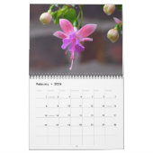 Bloemen die de Kalender van Hummingvogels aantrekk (Feb 2026)