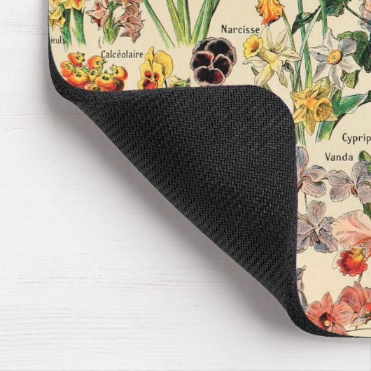  bloemen door Adolphe Millot Muismat (Hoek)