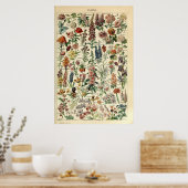 bloemen door Adolphe Millot Poster (Keuken)
