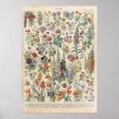 bloemen door Adolphe Millot Poster (Voorkant)