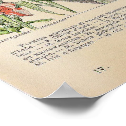 bloemen door Adolphe Millot Poster (Hoek)