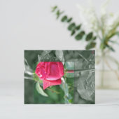 Bloemen door het Meer - het Rood nam Knop toe Briefkaart (Staand voorkant)