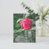 Bloemen door het Meer - het Rood nam Knop toe Briefkaart (Staand voorkant)