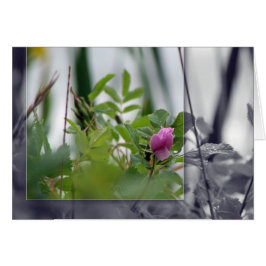 Bloemen door het Meer - Roze