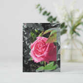 Bloemen door het Meer - Roze Briefkaart (Staand voorkant)