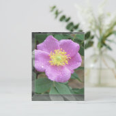 Bloemen door het Meer - Roze Briefkaart (Staand voorkant)