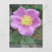 Bloemen door het Meer - Roze Briefkaart (Voorkant)