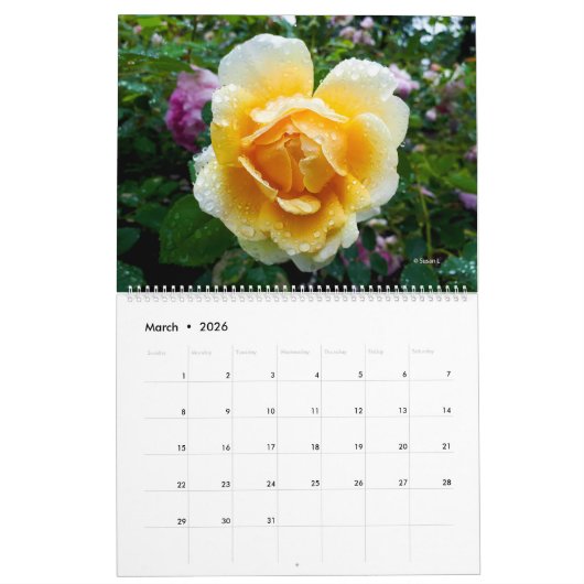 Bloemen door MultiMediaSusan 2025 Kalender (Mar 2026)