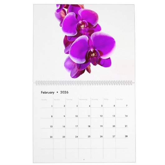Bloemen door MultiMediaSusan 2025 Kalender (Feb 2026)