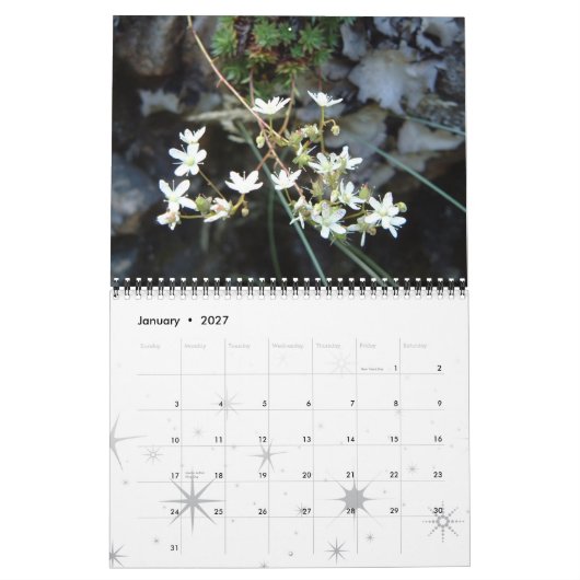 Bloemen, een jaar kleur kalender (Jan 2027)