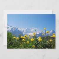 Bloemen | Eiger Monch Swiss Alps