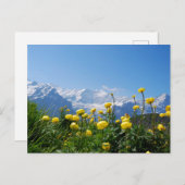 Bloemen | Eiger Monch Swiss Alps Briefkaart (Voorkant / Achterkant)
