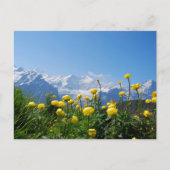 Bloemen | Eiger Monch Swiss Alps Briefkaart (Voorkant)