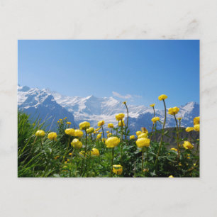 Bloemen   Eiger Monch Swiss Alps Briefkaart