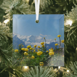 Bloemen Eiger Monch Swiss Alps Glas Ornament