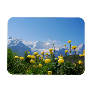 Bloemen   Eiger Monch Swiss Alps Magneet