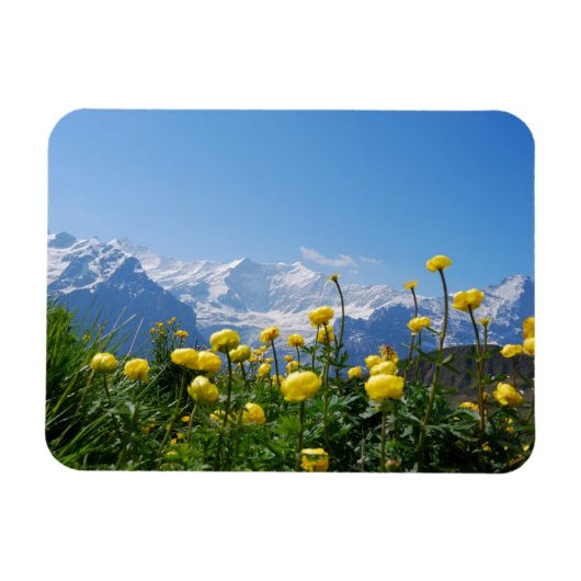 Bloemen | Eiger Monch Swiss Alps Magneet (Horizontaal)